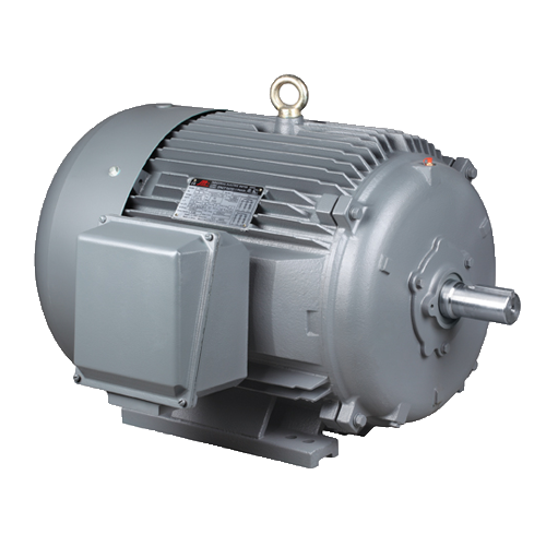 T Series Nema Standard 3-Phase Induction Motors Cast Iron Case (epact ...